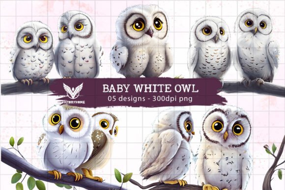 Download Baby White Owl Watercolor Sublimation - Owl watercolor Collection
