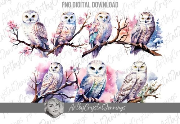 Download Winter Snow Owl Watercolor Bird PNG - Owl watercolor Collection