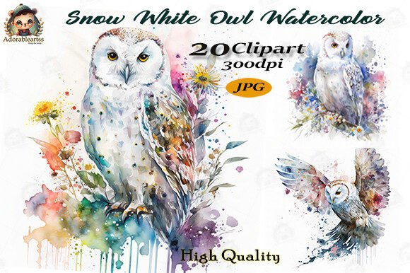 Download Snow White Owl Watercolor Clipart Set - Owl watercolor Collection