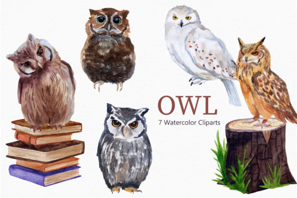 Download Owl Watercolor Clipart Bird - Owl watercolor Collection